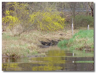 Mona Lake north tributary